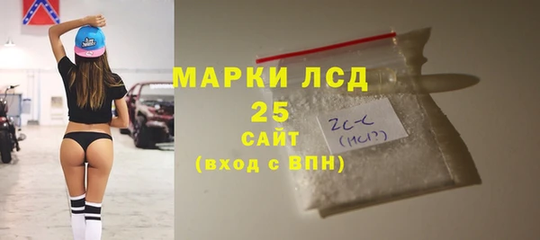 дживик Баксан