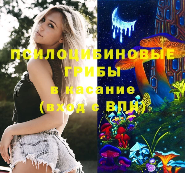 дживик Баксан
