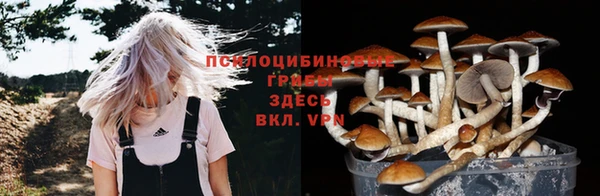 дживик Баксан