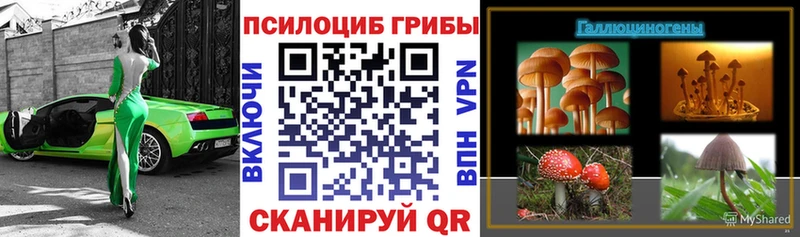 Галлюциногенные грибы Psilocybine cubensis  где купить наркоту  кракен сайт  Бобров 